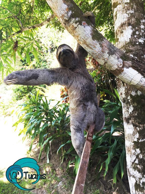 Manuel Antonio Hostel Resort Екстериор снимка