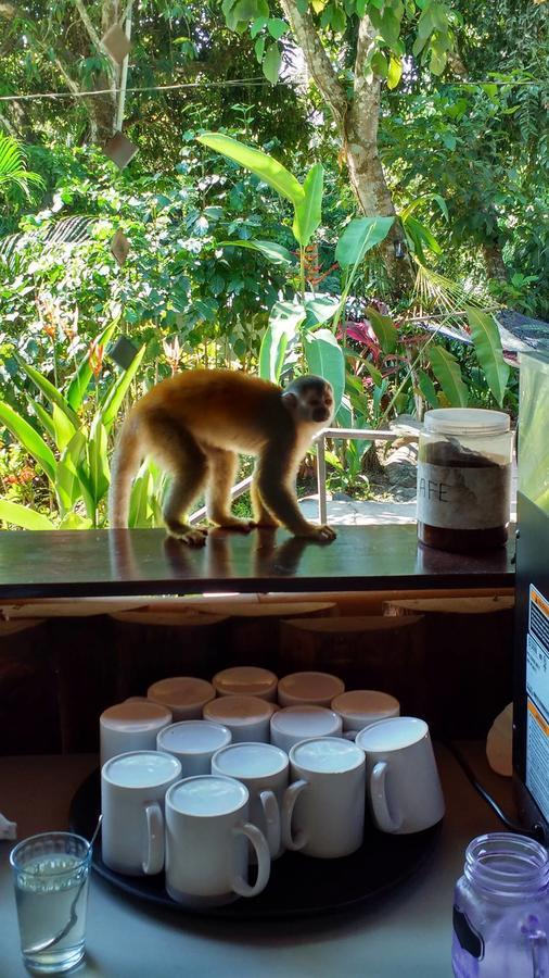 Manuel Antonio Hostel Resort Екстериор снимка